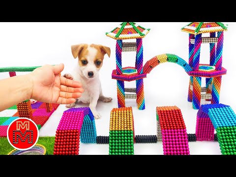 DIY – How to make magnetic balls playground for tiny dog pet I Magic Magnet