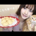 【料理】愛猫と簡単ヘルシーきなこもち作り〜♡