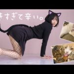 【猫カフェ】大好きな猫たちに囲まれて幸せでした♡