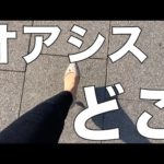 【独身アラサーOL】干からびた生活にオアシスを求めて向かった先は…