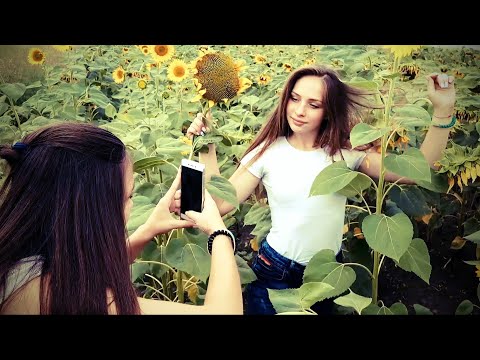 Juliet & Summer • Photoshoot in sunflowers field