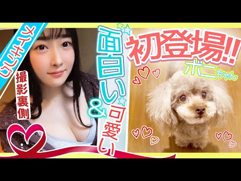 載せる予定じゃなかったところが 動画になりました