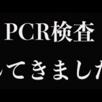 PCR検査の結果が出ました