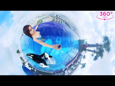 VR360 Lookbook – The whale jump up when looking at the girl’s body in the water