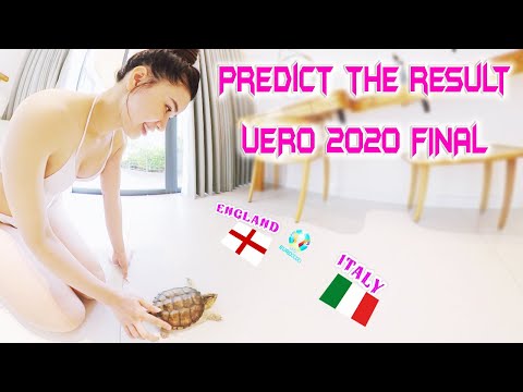 VR360 Lookbook – England 🏴󠁧󠁢󠁥󠁮󠁧󠁿 vs Italy 🇮🇹 UEFA Euro 2020 Final | Turtle Prophet predicted
