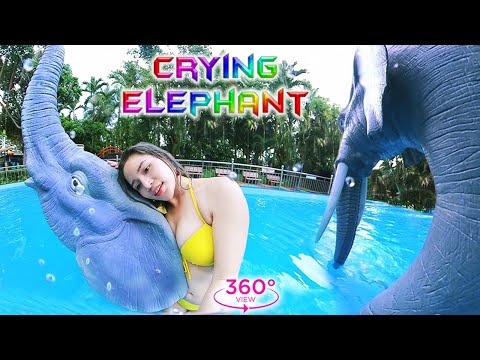 VR360 Lookbook – Beautiful girl swimming among giant elephants