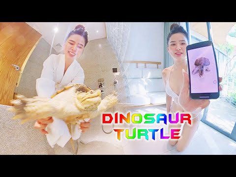 VR360 Lookbook – Beautiful girl rescues sea turtle stuck in bathtub