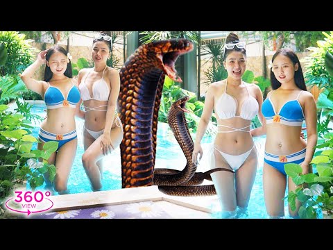 VR360 Lookbook – Two Hot Bikini Sisters In The Pool And Giant Snake