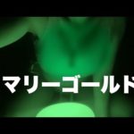 【むちちゃん。】高校時代の夏の甘酸っぱい恋を思い出す詩 マリーゴールド/あいみょん