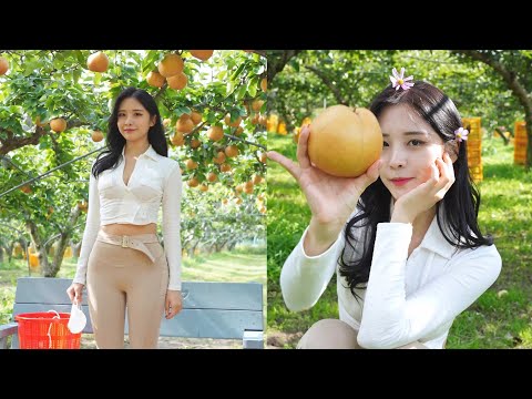 (4K 고화질) 나랑 과수원에서 과일 먹고 갈래? 🍊🍑 Korean Fruit farm Vlog
