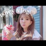 【VLOG】冬のディズニーシー楽しんできました☃️🧤