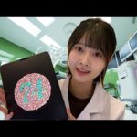 【ASMR】脳神経検査ロールプレイ【触診あり】(Cranial nerve exam)