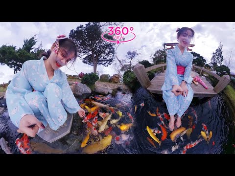 VR360 META – Extreme Outdoor Koi Pond