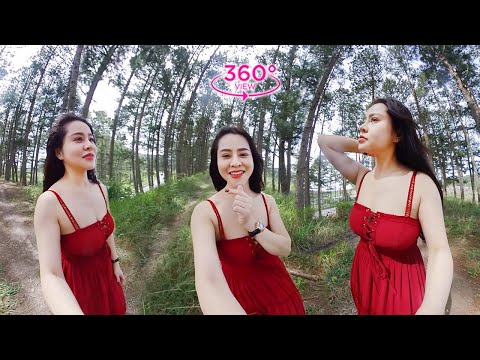 VR360 META – Walking In The Forest
