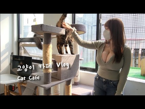 [vlog] 고양이 카페에서 데이트 할래?