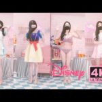 4K LOOKBOOK | 모델  171cm VROK | 디즈니 공주 의상 코스프레 룩북 | Disney Princess Costume Cosplay Lookbook