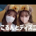 にこるんとディズニー行ってきました🎡