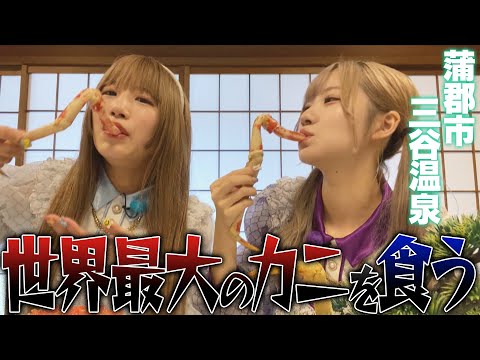 【三谷温泉】名物タカアシガニを爆食い