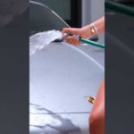 Antje Utgaard Washes Her Porsche in a Swimsuit!