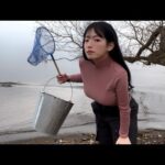 今しかない！大量に湧いてる魚が獲れまくり！！