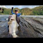 ついに念願の魚を釣りあげたーーーーーー！！！Ep.2