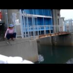 大量に湧く〇〇を獲る方法がやばすぎる。