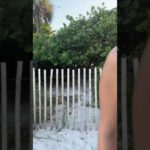 Beach life 🏖️ #longlegs #beachlife #beachvibes