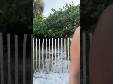 Beach life 🏖️ #longlegs #beachlife #beachvibes