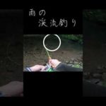 雨の渓流釣り　 #fishing #フライフィッシン#flyfishing