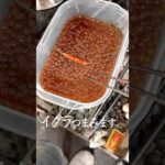 【珍味】古民家料理教室 貧困女子の簡単一人めし  Japanese hot springs りんの田舎暮らし #shorts