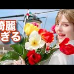 オランダ人が日本のオランダ公園に来たら、まさかの感動体験に！