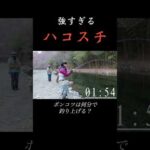 ハコスチ釣るのに何分かかる？