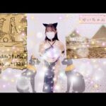 🆕🆙まるでクレ〇パトラ⁉️セクシーな黒猫にお着替え✨