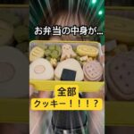【ASMR】お弁当の中身が全部クッキー！？🍪サクサク感がたまらん🤤 #eatingasmr