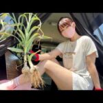 限界を感じながらも山の中のひとり農作業と車中飯