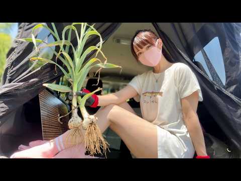 限界を感じながらも山の中のひとり農作業と車中飯