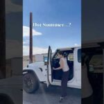 暑い夏から…？🐿️🍂✨