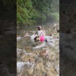 難しい場所にイワナ　#釣り#渓流釣り #フライフィッシング #flyfishing