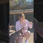 Kangaroo hop Velvet Hop 🦘 カンガルーに会った💗