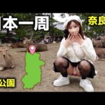 【奈良公園】紅葉散歩してたら鹿に囲まれて…想像以上に視線が集まってびっくりw