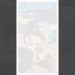 Cat Heaven 🐱 猫島に一緒に行く？