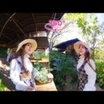 VR360 META – Stroll In The Park