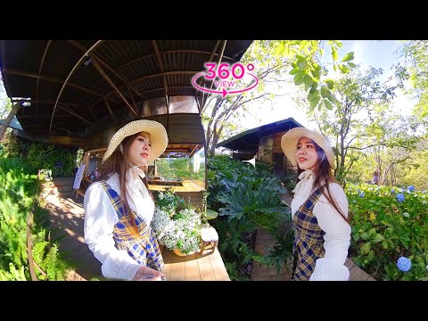 VR360 META – Stroll In The Park