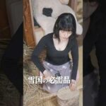 除雪機の使い方【神回】北海道の大雪 Japanese country life Hokkaido 貧困女子りんの田舎暮らし #shorts