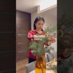 Christmas is coming…🎄✨