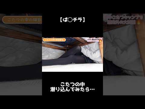 【ぱ◯チラ】こたつの中に潜り込んでみたら…
