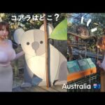 Can you find Koala with me?🐨 Adventure in Australia