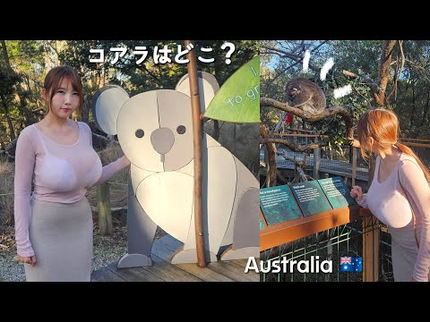 Can you find Koala with me?🐨 Adventure in Australia