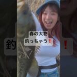 #fishing #釣り　#マルコス