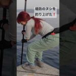 #fishing #マルコス #釣り #アウトドア